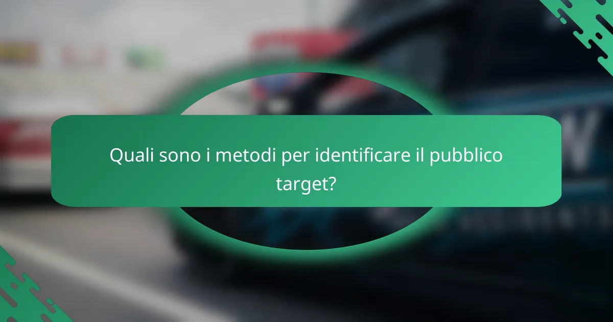 Quali sono i metodi per identificare il pubblico target?