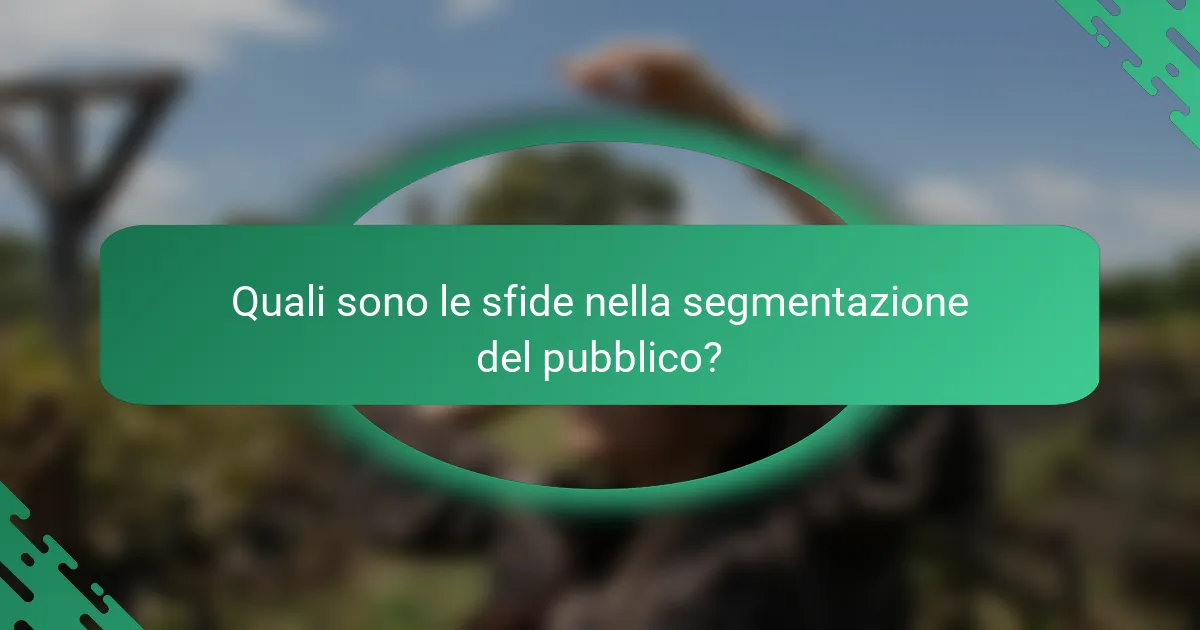 Quali sono le sfide nella segmentazione del pubblico?