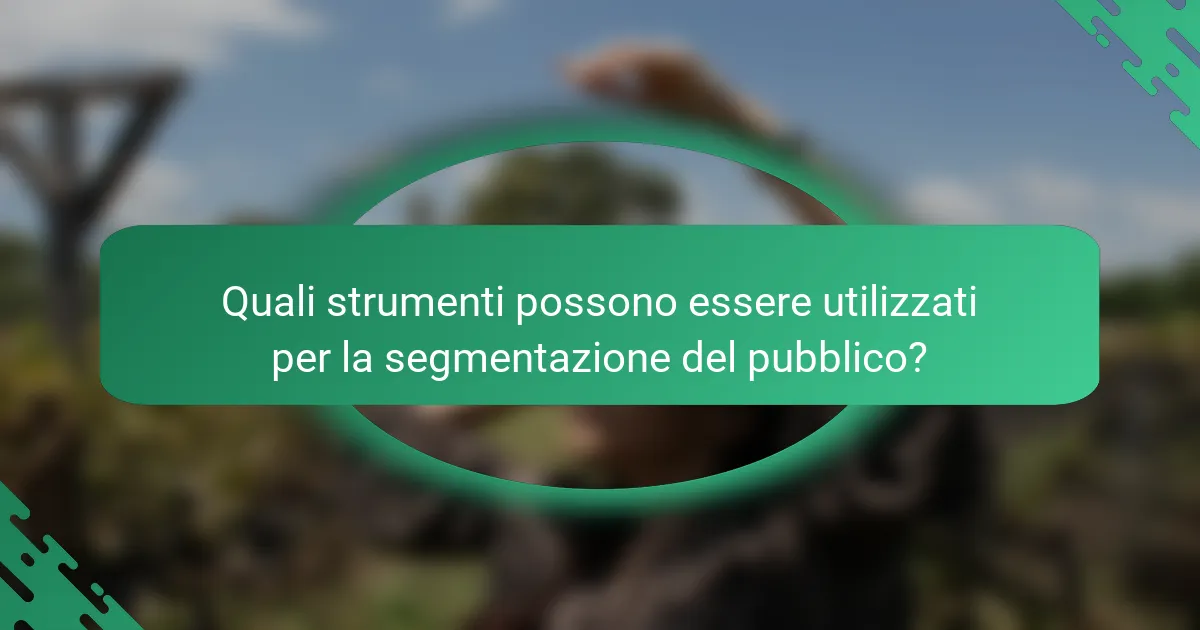 Quali strumenti possono essere utilizzati per la segmentazione del pubblico?