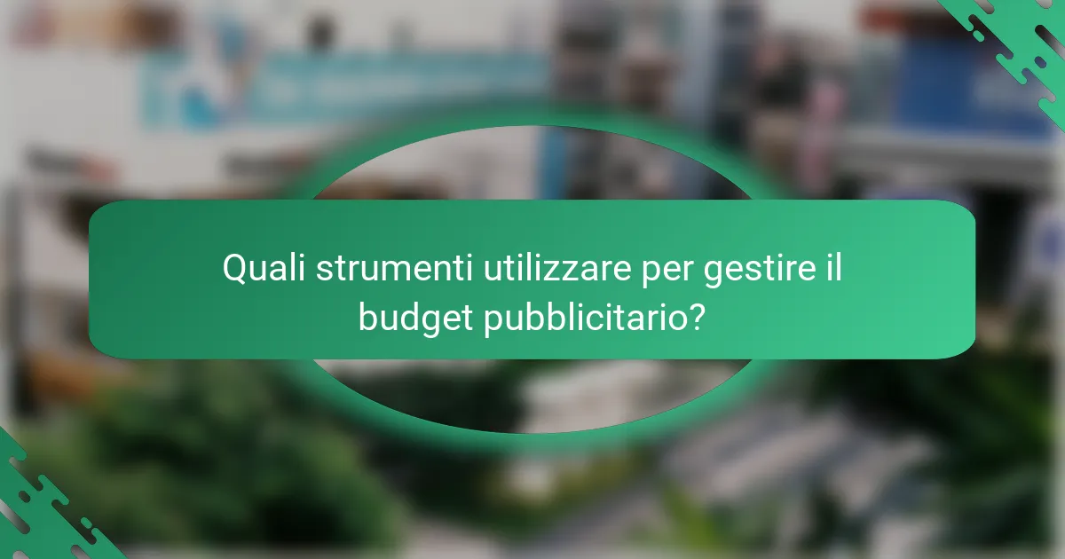 Quali strumenti utilizzare per gestire il budget pubblicitario?